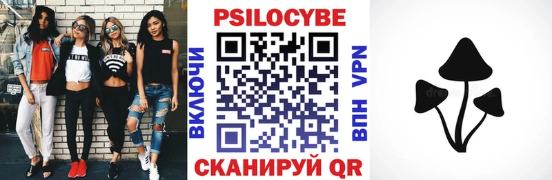купить   Видное  Псилоцибиновые грибы Psilocybe 