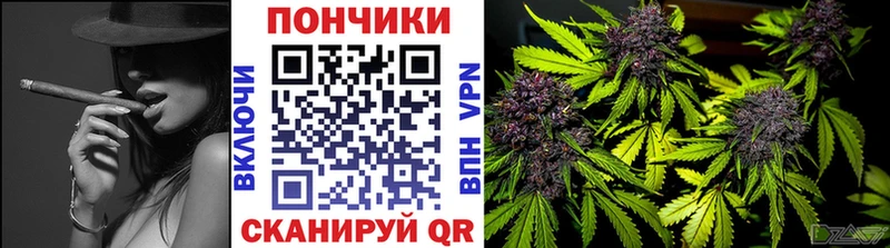 Бошки марихуана Amnesia  Видное 